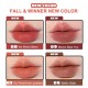 Judydoll - Special Edition Cushion Lip Cream No.9 Brown Red 1.8g