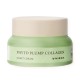 Mizon - Phyto Plump Collagen Day Cream 50ml